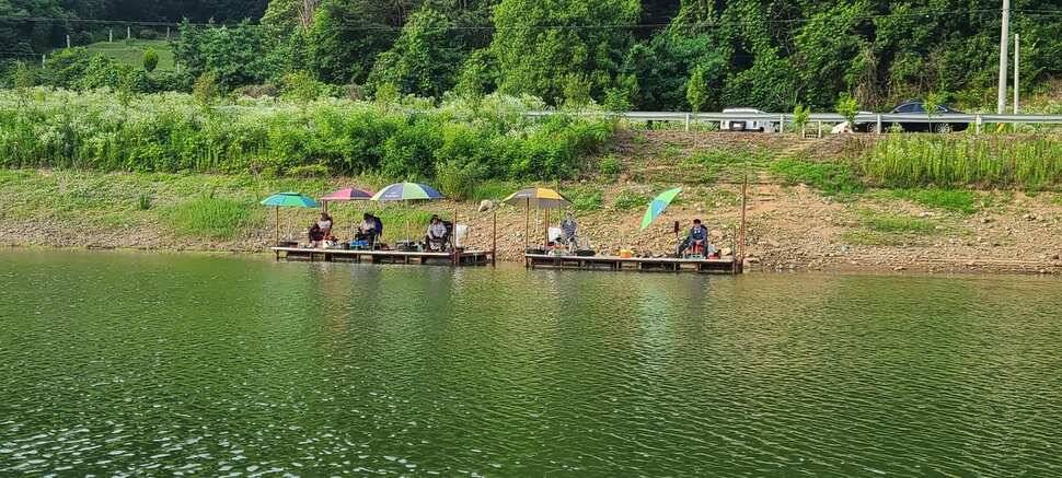 공주 고성낚시터 입니다 (유료터정보 - 유료터점주조황)