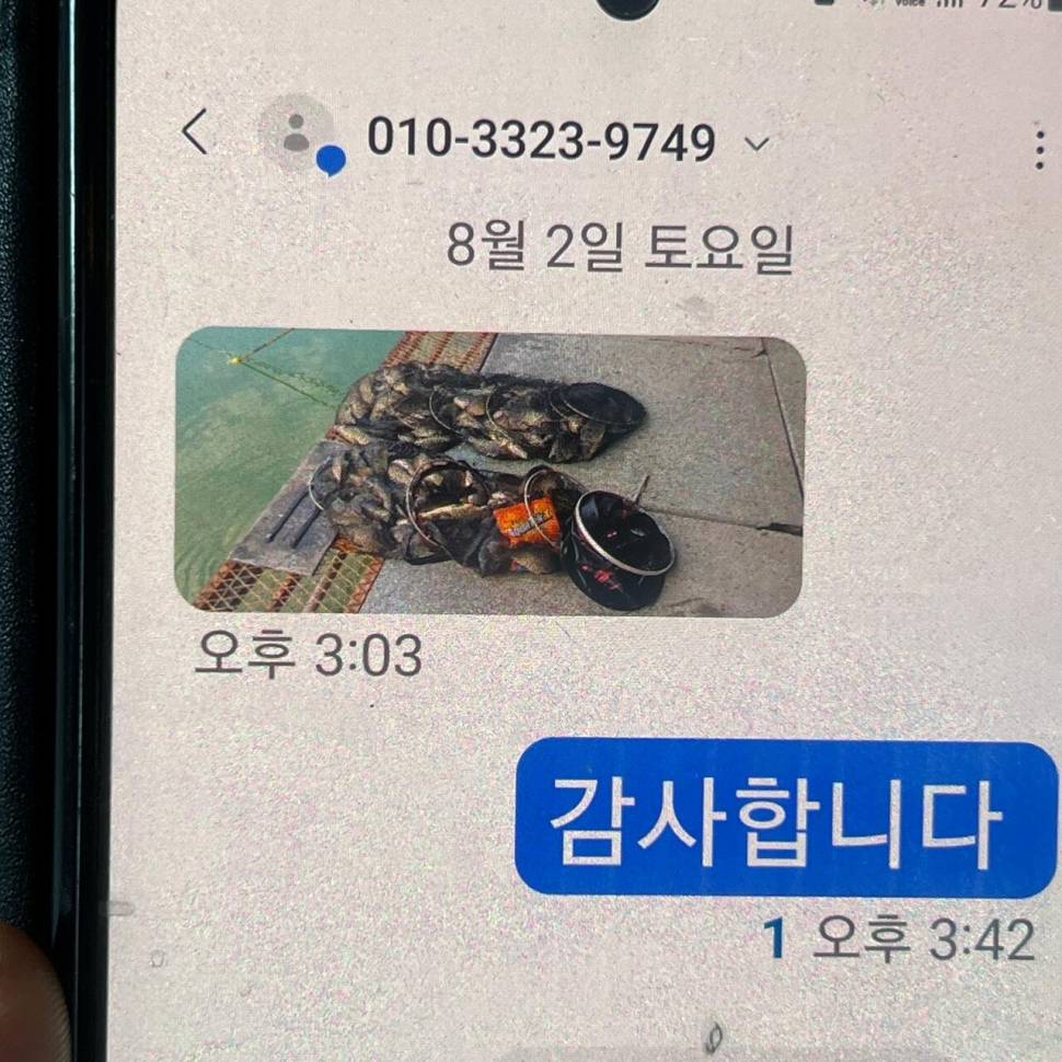 주말 붕어 방류 와 대박 조황입니다 (유료터정보 - 유료터점주조황)
