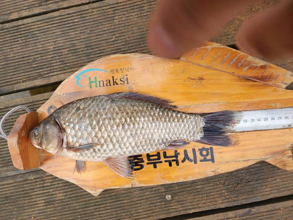 2024년 03월 셋째주 조황정보 용담낚시터사암지 (유료터정보 - 유료터점주조황)