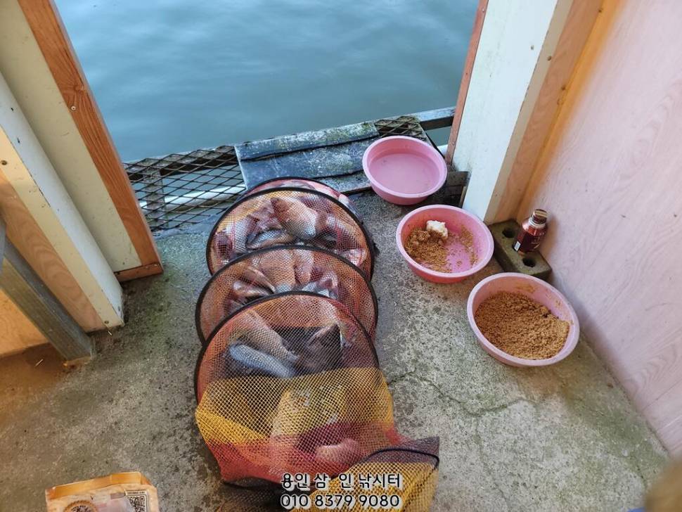 가깝고 물 좋고 경치 좋은 곳용인삼인낚시터 (유료터정보 - 유료터점주조황)