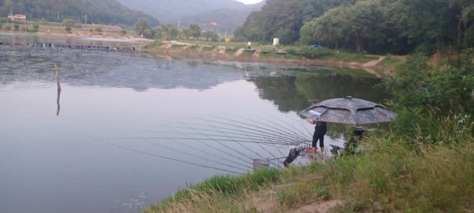 어우실지 수상좌대는입질이좋아요 (유료터정보 - 유료터점주조황)