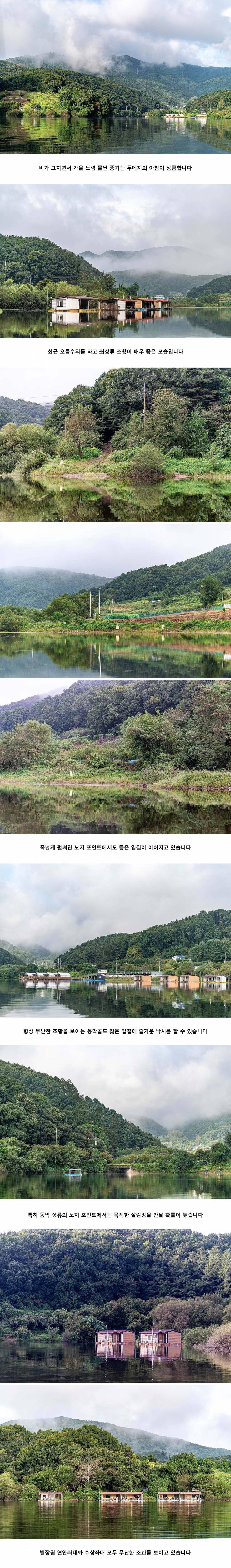 안성 두메낚시터 9월 17일 조황정보 (유료터정보 - 유료터점주조황)