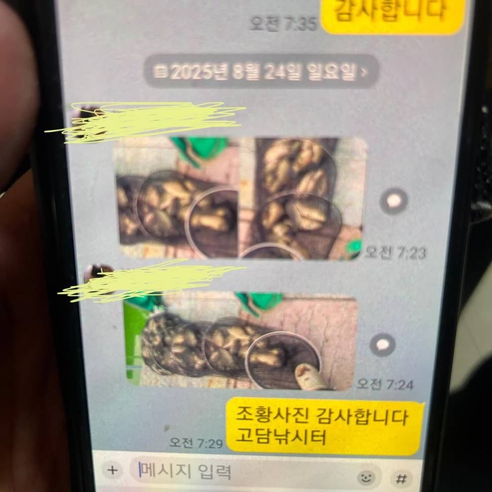 조황입니다 (유료터정보 - 유료터점주조황)