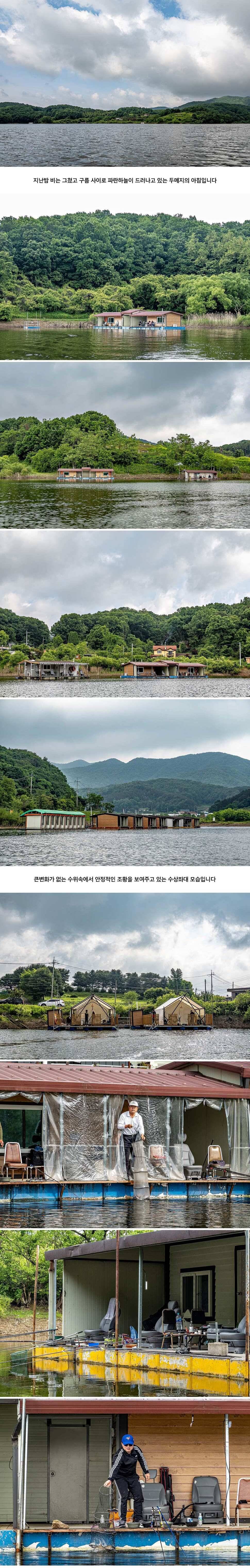 안성 두메낚시터 6월 1일 조황정보 (유료터정보 - 유료터점주조황)