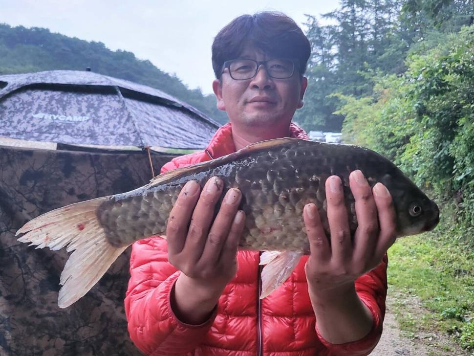 제 10회 용담의 밤 행사 안내 (유료터정보 - 유료터점주조황)