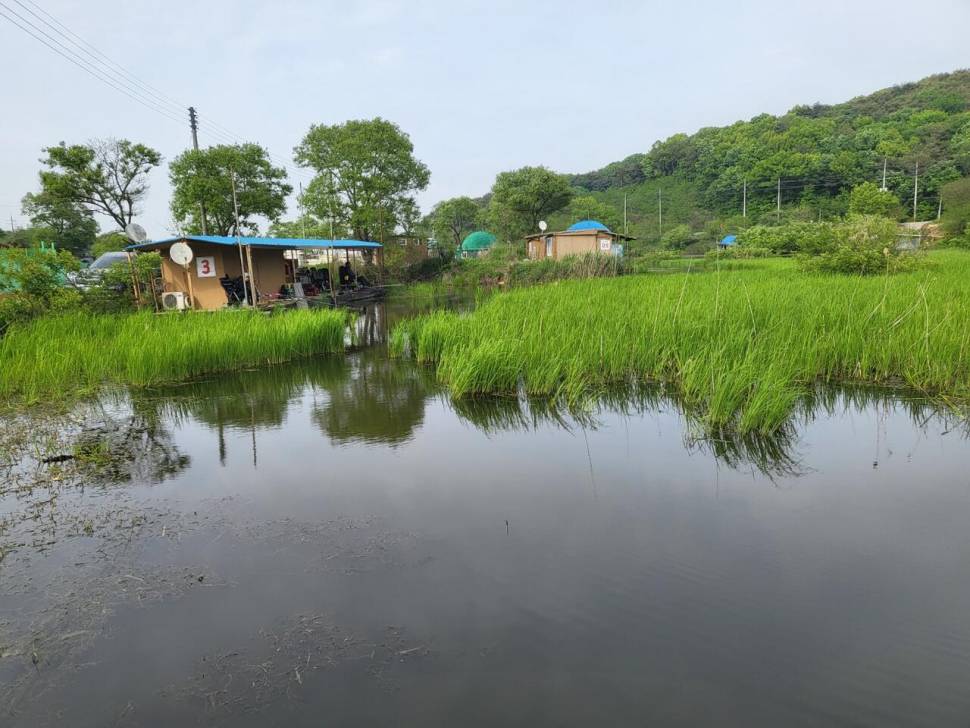 당진 가교리 낚시터 5월 6일 조황입니다 (유료터정보 - 유료터점주조황)