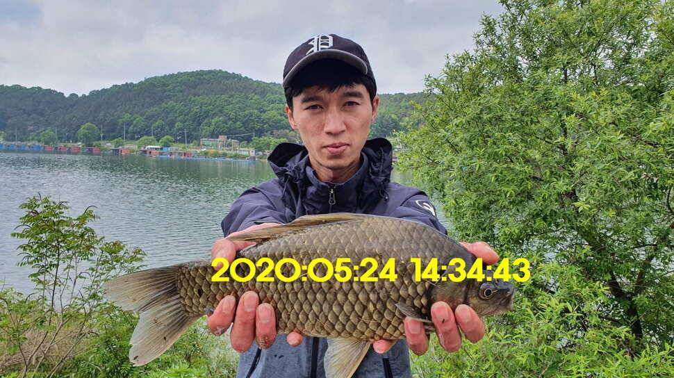 신원낚시터 5월25일 토종대물 43짜리와 덩어리 사진입니다 (유료터정보 - 유료터점주조황)