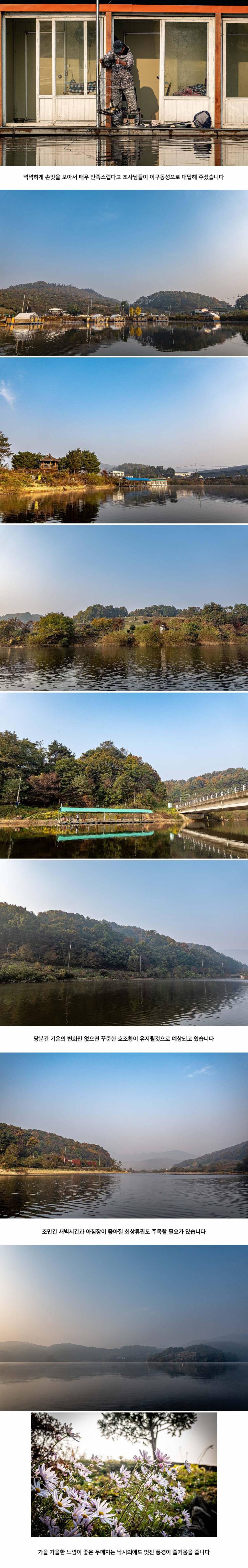 안성 두메낚시터 10월 27일 조황정보 (유료터정보 - 유료터점주조황)