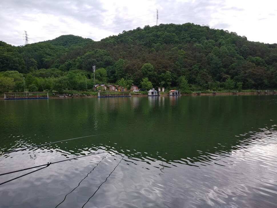 수곡지 양평 수곡낚시터 주중519조황 붕어방류 안내 (유료터정보 - 유료터점주조황)