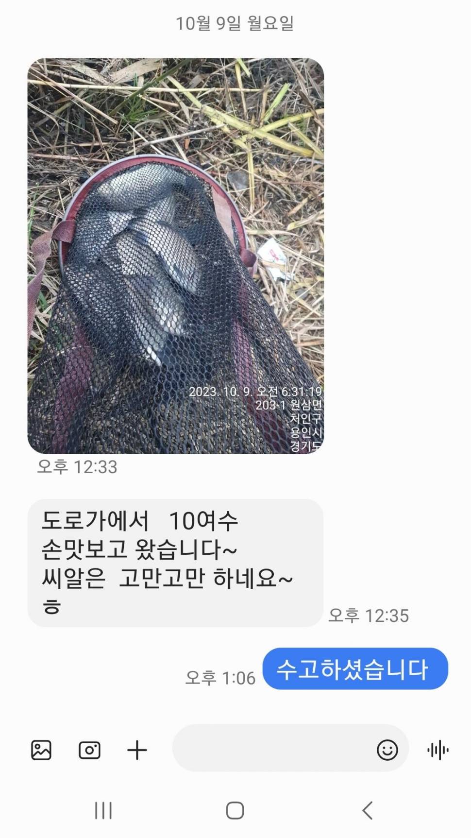 2023년 10월 둘째주 조황정보 용담낚시터사암지 (유료터정보 - 유료터점주조황)