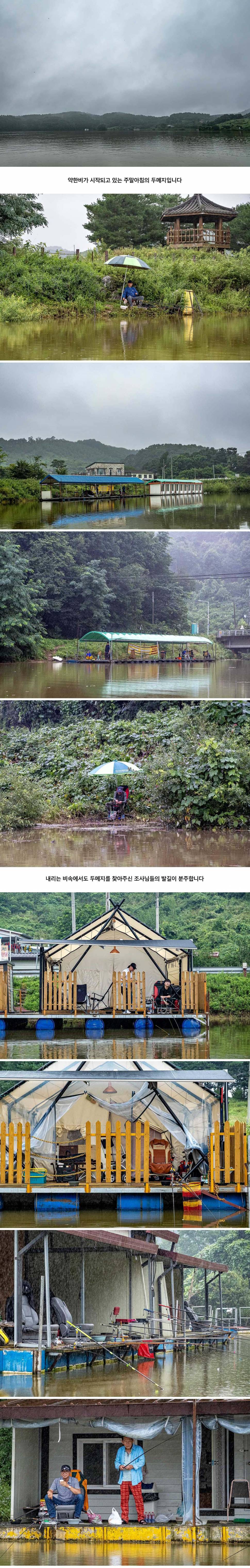 안성 두메낚시터 8월 8일 조황정보 (유료터정보 - 유료터점주조황)