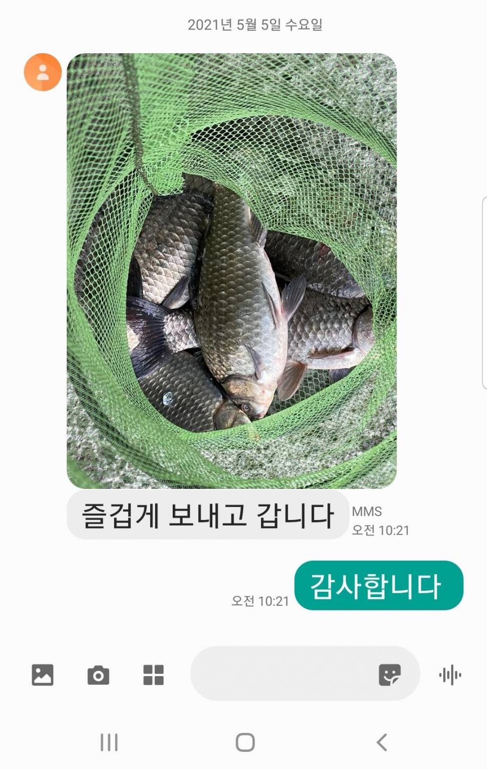 2021년 5월 둘째주 조황정보 용인 용담낚시터사암지 (유료터정보 - 유료터점주조황)