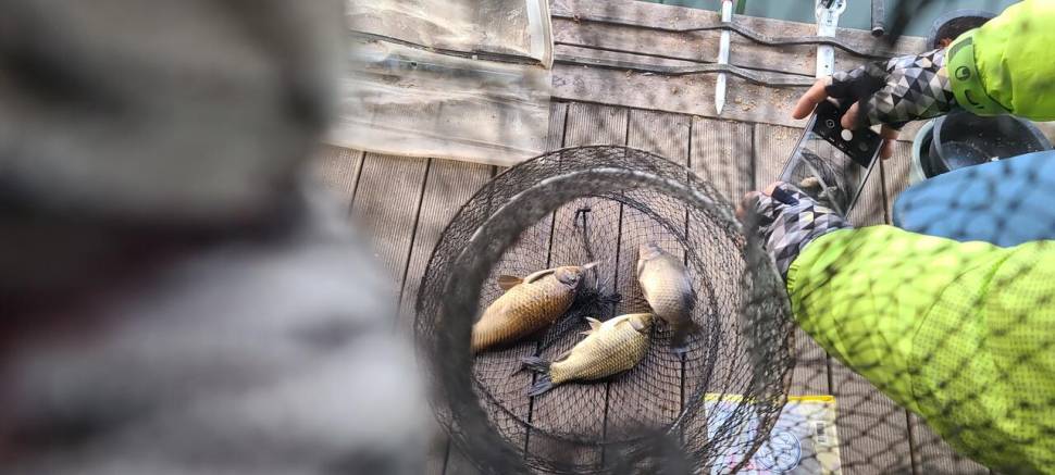 설명절 연휴 힐링 수곡낚시터 조황 및 붕어 방류 안내 (유료터정보 - 유료터점주조황)