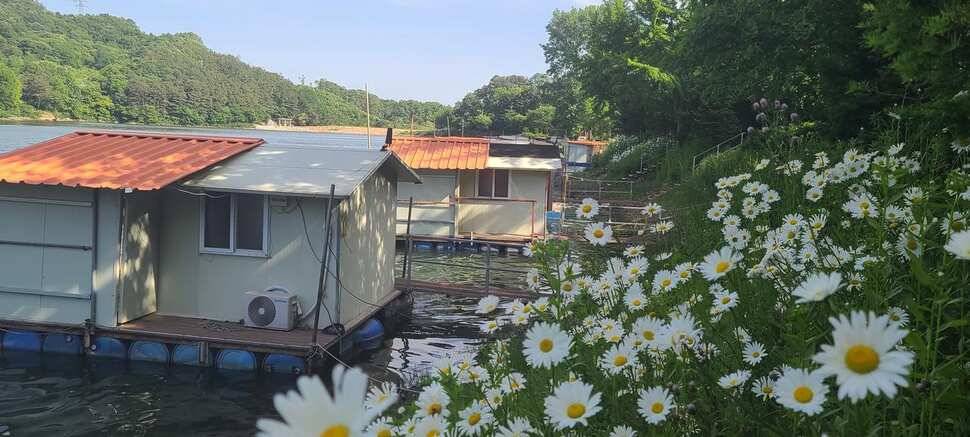 수곡낚시터 6월 첫주 출발 조황들이 좋습니다 (유료터정보 - 유료터점주조황)