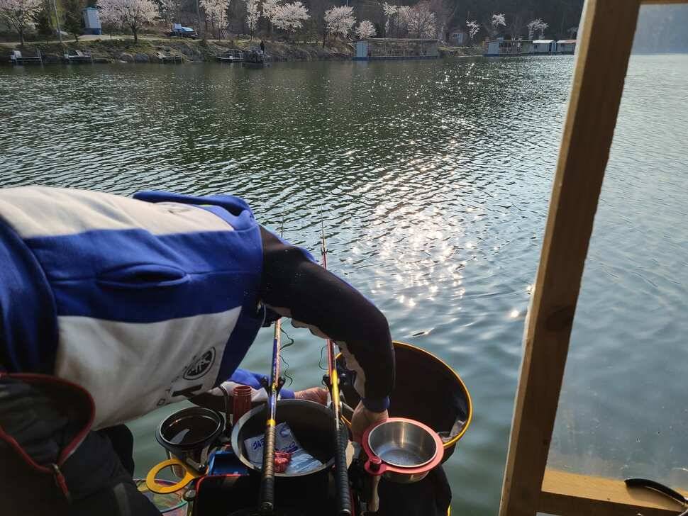 힐링 양평 수곡낚시터 4짜 대물붕어 포함 주중조황 및 붕어방류 안내 (유료터정보 - 유료터점주조황)