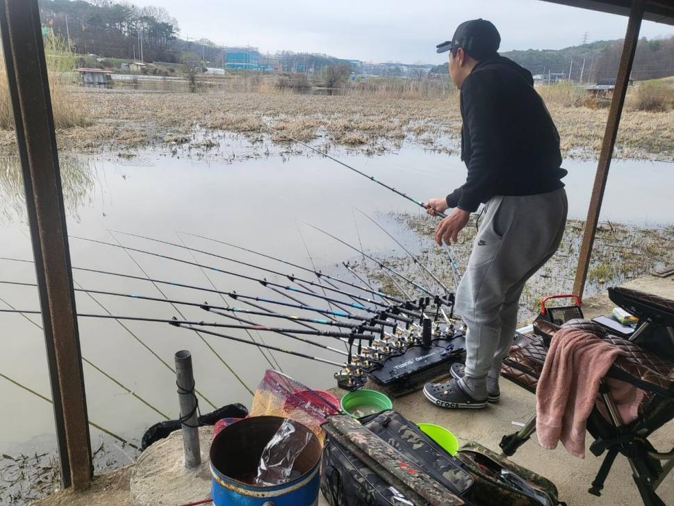 당진 가교리 낚시터 4월 7일 조황입니다 (유료터정보 - 유료터점주조황)