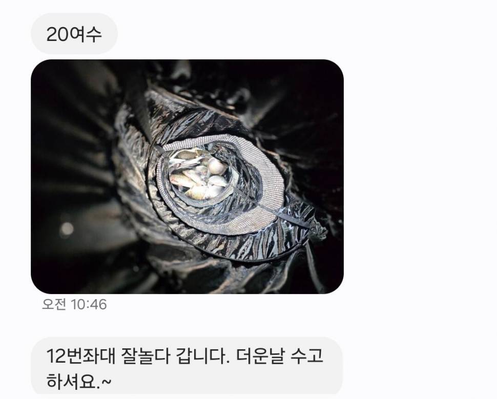 2024년 7월 마지막주 조황정보 용담낚시터사암지4짜 1마리 (유료터정보 - 유료터점주조황)
