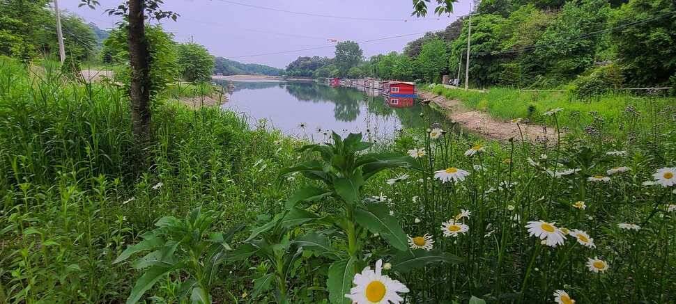 수곡지 양평 수곡낚시터 5월네째주 주말 조황 입질시간대 파악이 중요한듯합니다 (유료터정보 - 유료터점주조황)