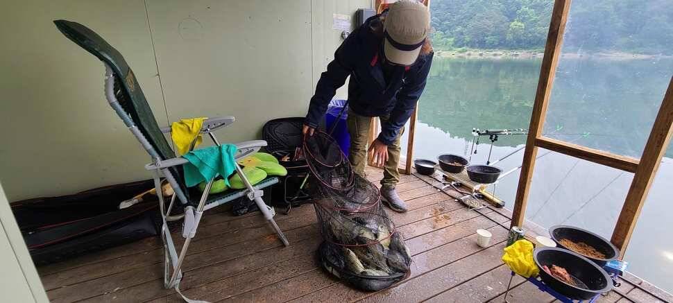 양평낚시터 힐링 수곡낚시터 수목요일 주중 조황도 고르게 나와주고 있습니다 (유료터정보 - 유료터점주조황)