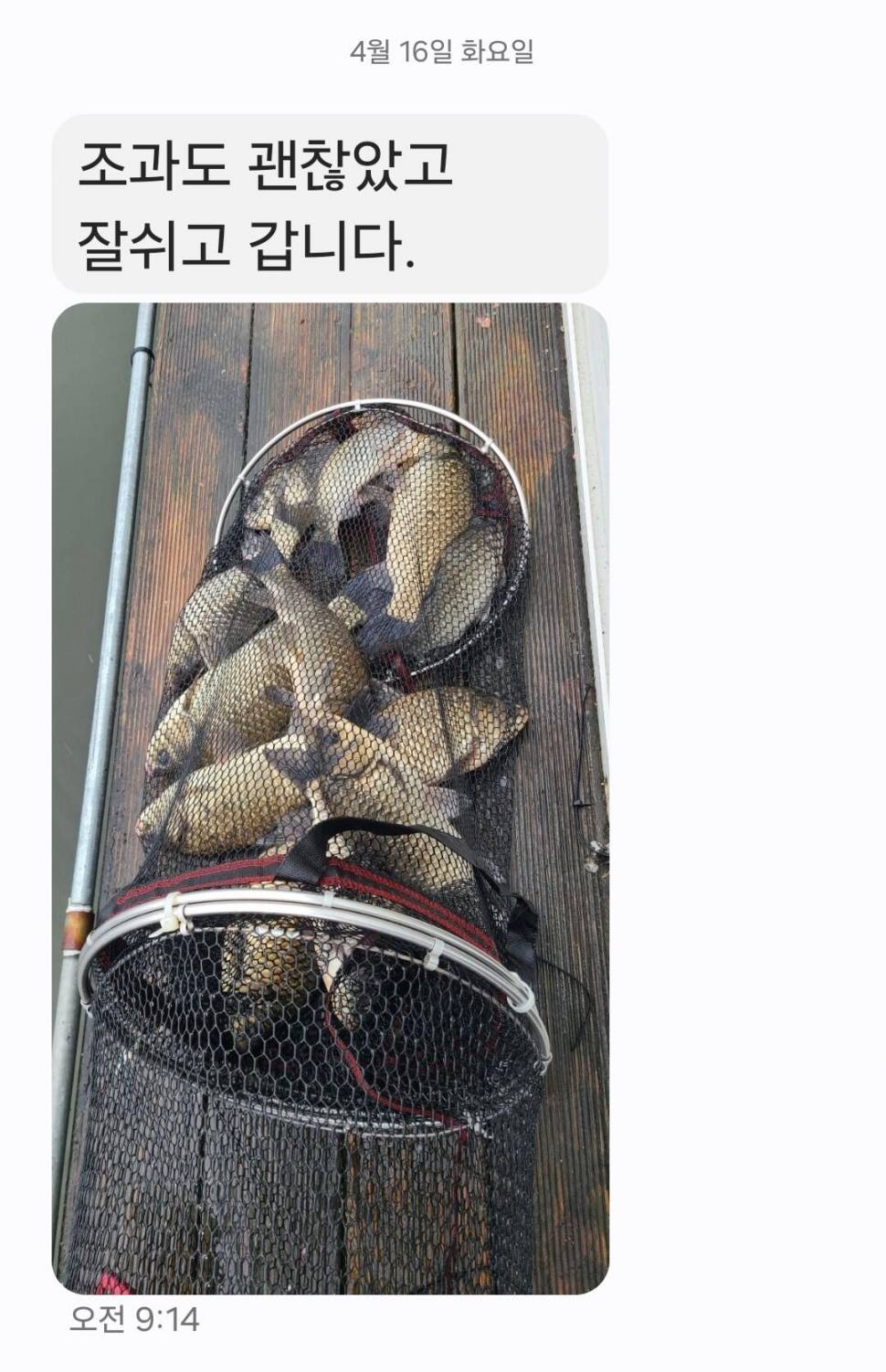 2024년 04월 셋째주 조황정보 용담낚시터사암지 4짜 5마리 (유료터정보 - 유료터점주조황)