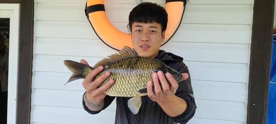 공주 고성낚시터 입니다 (유료터정보 - 유료터점주조황)