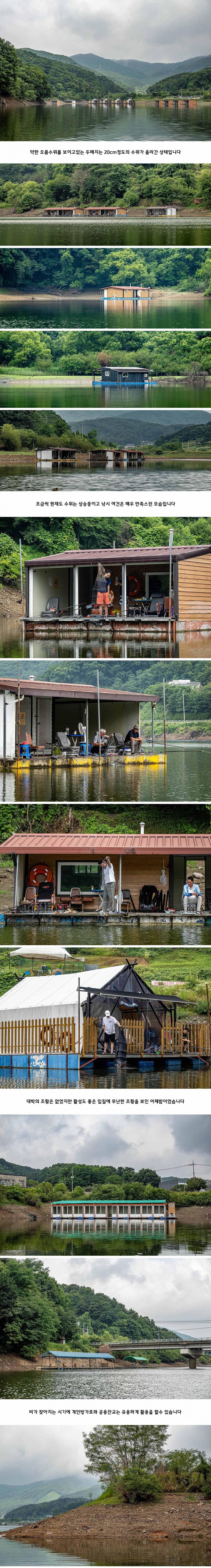 안성 두메낚시터 6월 24일 조황정보 (유료터정보 - 유료터점주조황)