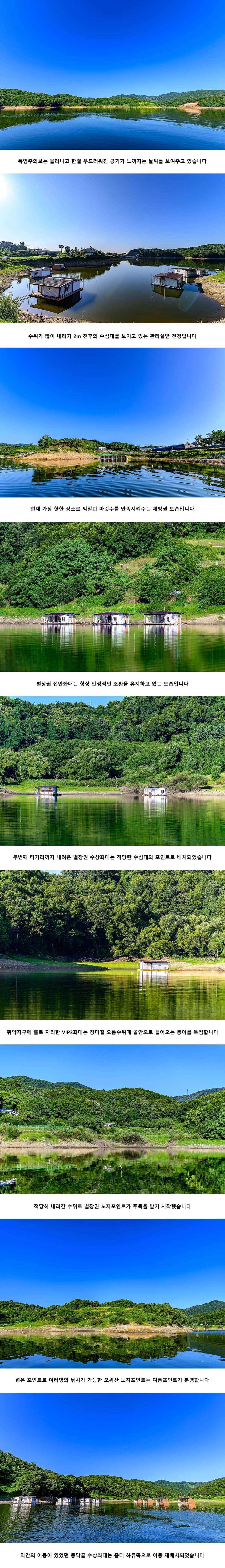 안성 두메낚시터 7월 9일 조황정보 (유료터정보 - 유료터점주조황)