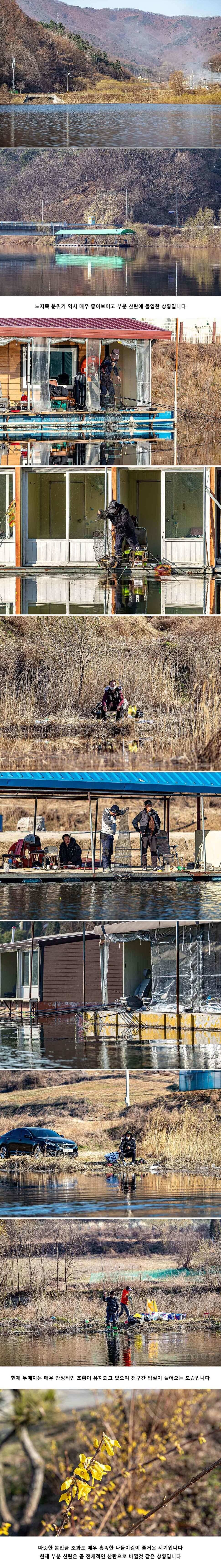 안성 두메낚시터 3월 25일 조황정보 (유료터정보 - 유료터점주조황)