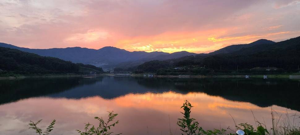 공주 고성낚시터 입니다 (유료터정보 - 유료터점주조황)