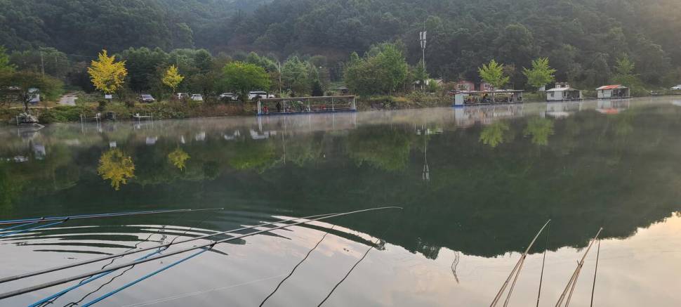 즐거운 한가위 보내세요 양평 힐링 수곡낚시터 화요일 조황 오늘 붕어 방류 (유료터정보 - 유료터점주조황)