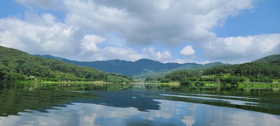 공주 고성낚시터 입니다 (유료터정보 - 유료터점주조황)