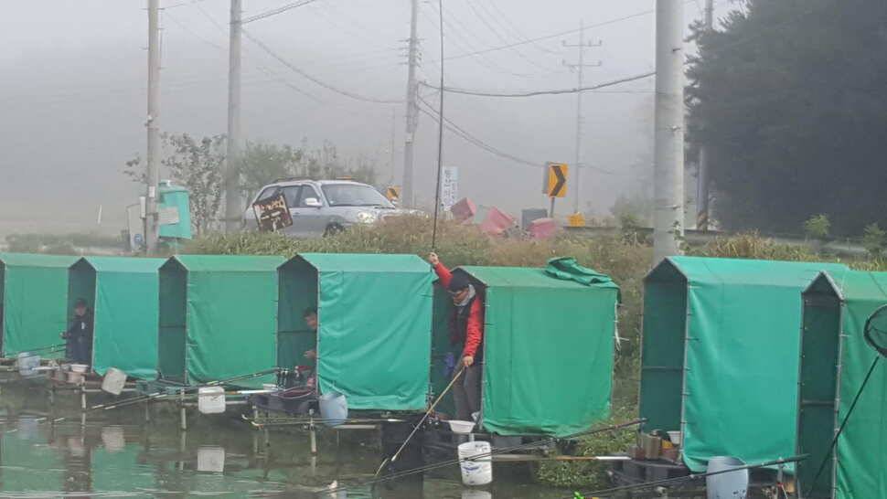 경주 동산낚시터붕어 전용잡이터 지난주 조황 (유료터정보 - 유료터점주조황)