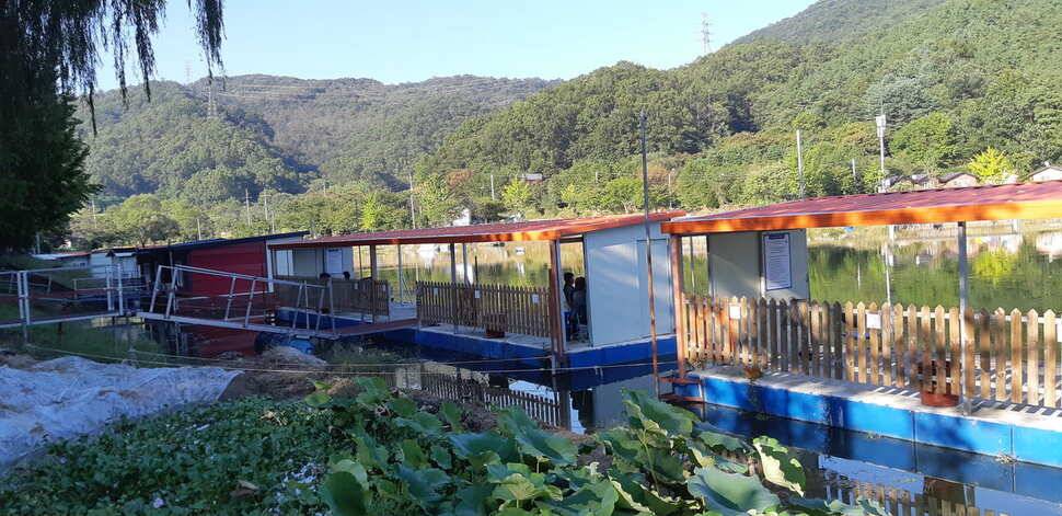 힐링 양평 수곡낚시터 101 첫날 붕어 조황 전포인트 조과 나오며 활성도 좋네요 오늘 붕어방류 완료 (유료터정보 - 유료터점주조황)