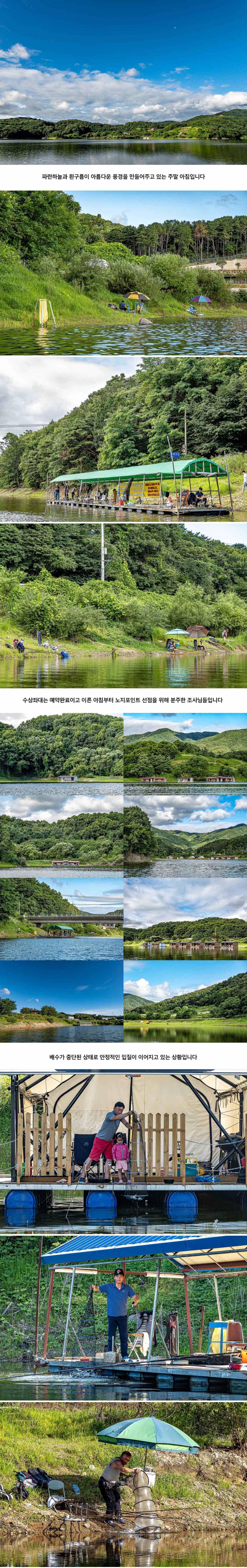 안성 두메낚시터 7월 11일 조황정보 (유료터정보 - 유료터점주조황)