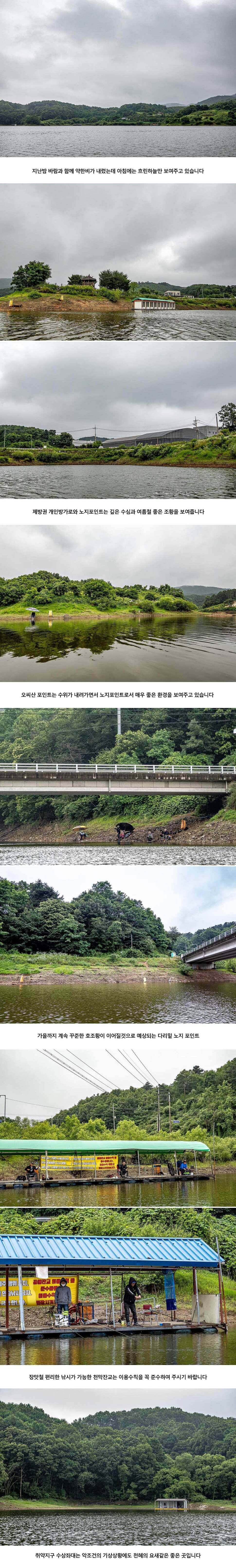 안성 두메낚시터 6월 26일 조황정보 (유료터정보 - 유료터점주조황)