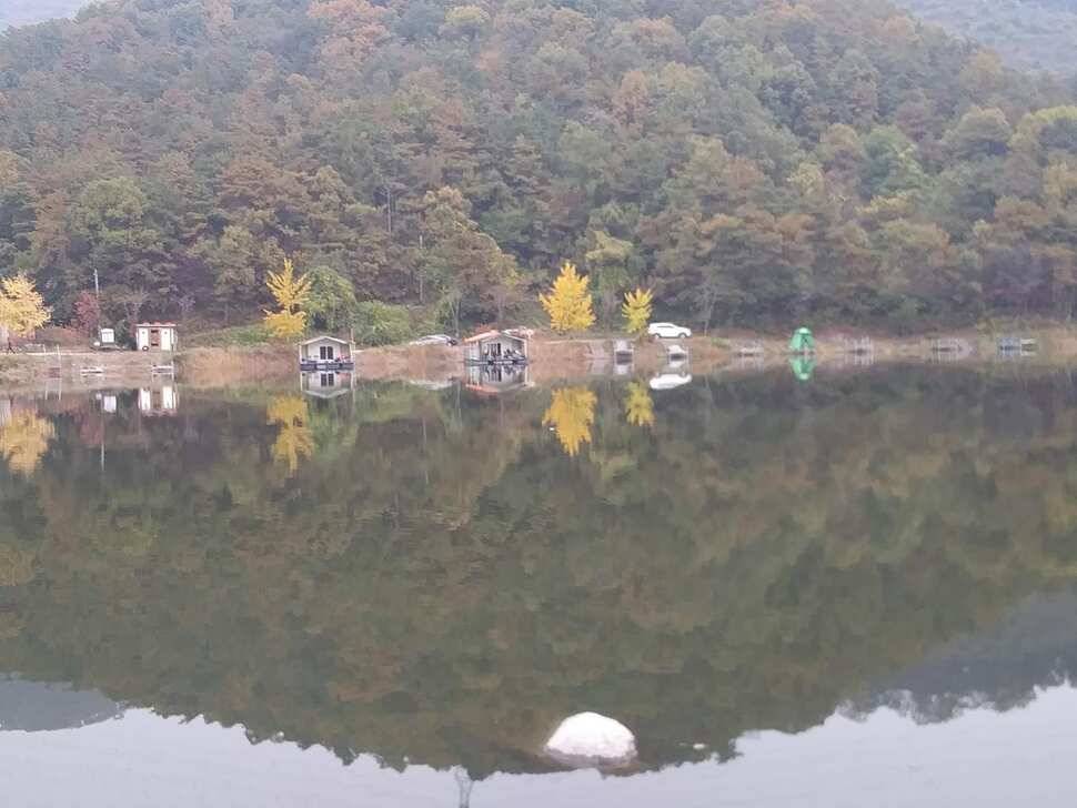 양평 수곡낚시터 자연산 토종붕어 방류 및 주말 조황 안내 (유료터정보 - 유료터점주조황)