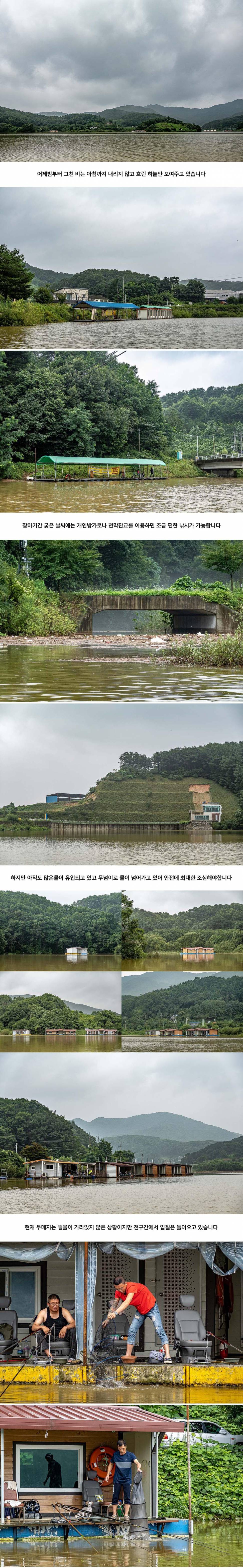 안성 두메낚시터 8월 4일 조황정보 (유료터정보 - 유료터점주조황)