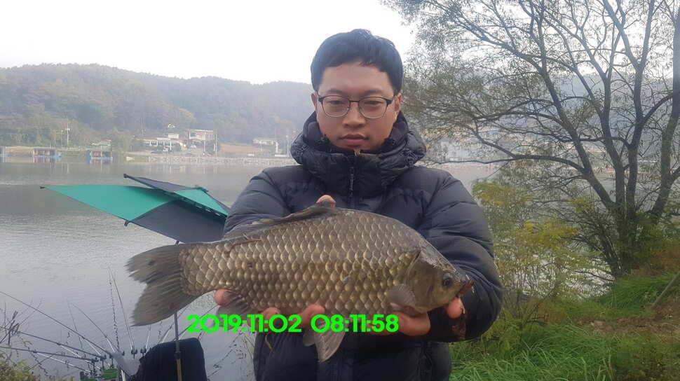 신원낚시터11월4일 토종붕어 방류와 조황 소식입니다 (유료터정보 - 유료터점주조황)