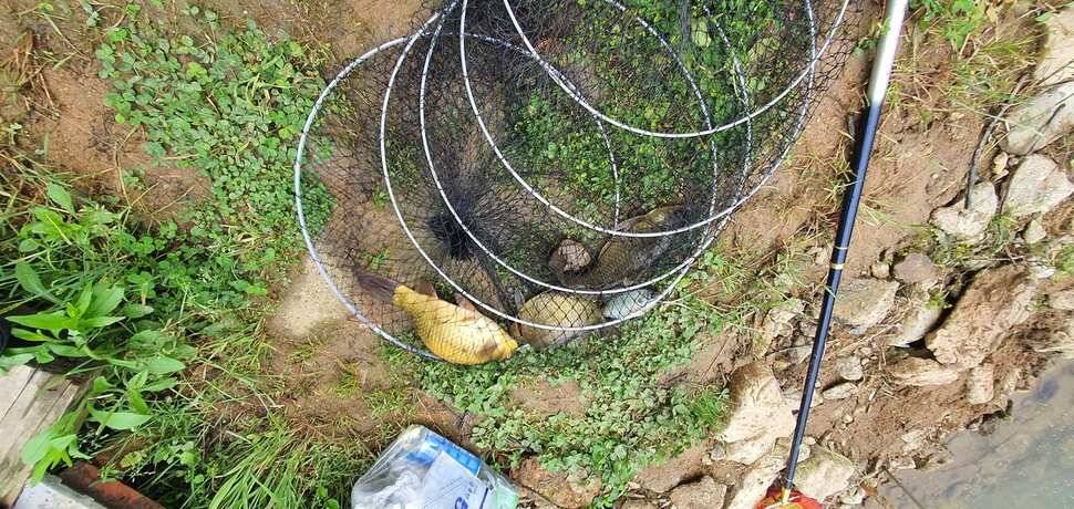 공주 고성낚시터 입니다 (유료터정보 - 유료터점주조황)