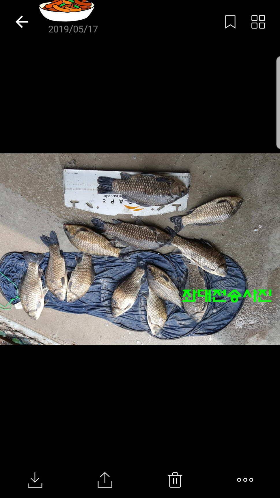 신원낚시터 토종대물 소식입니다 (유료터정보 - 유료터점주조황)