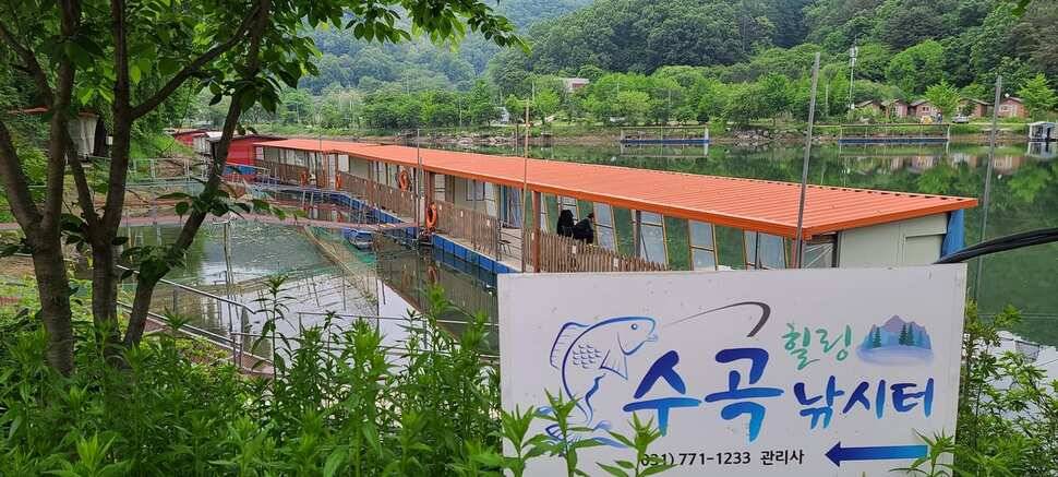 수곡지 양평 수곡낚시터 5월네째주 주말 조황 입질시간대 파악이 중요한듯합니다 (유료터정보 - 유료터점주조황)