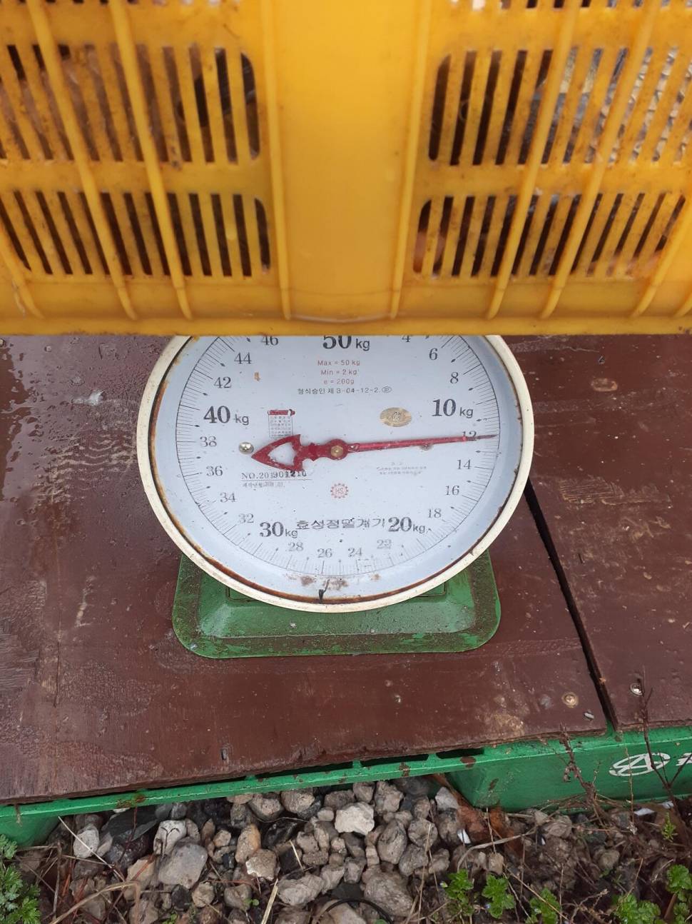 경주동산낚시터붕어 전용잡이터지난주 조황 (유료터정보 - 유료터점주조황)