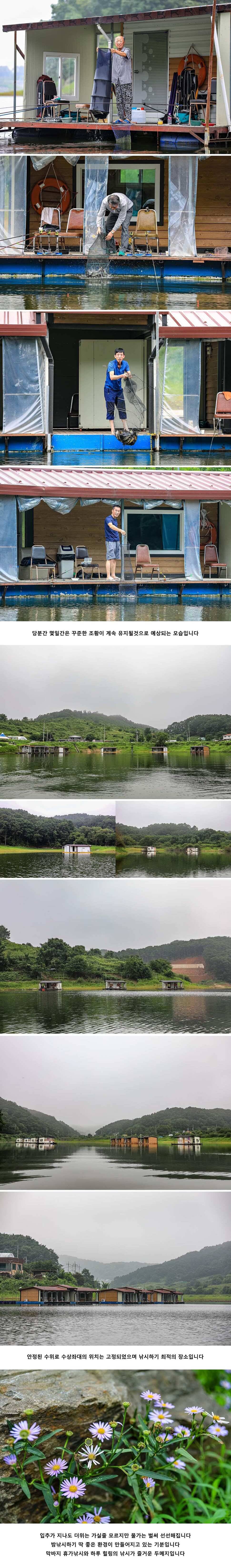 안성 두메낚시터 8월 9일 조황정보 (유료터정보 - 유료터점주조황)