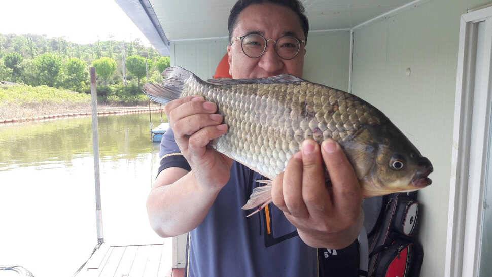 송전지 창신집 조황정보 (유료터정보 - 유료터점주조황)