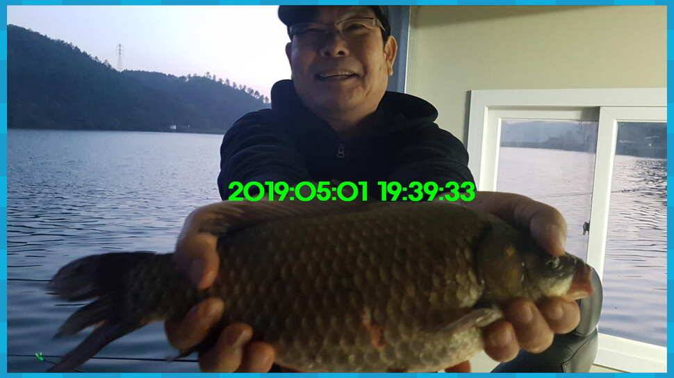 신원낚시터 토종대물 방류 소식과 조황입니다 (유료터정보 - 유료터점주조황)