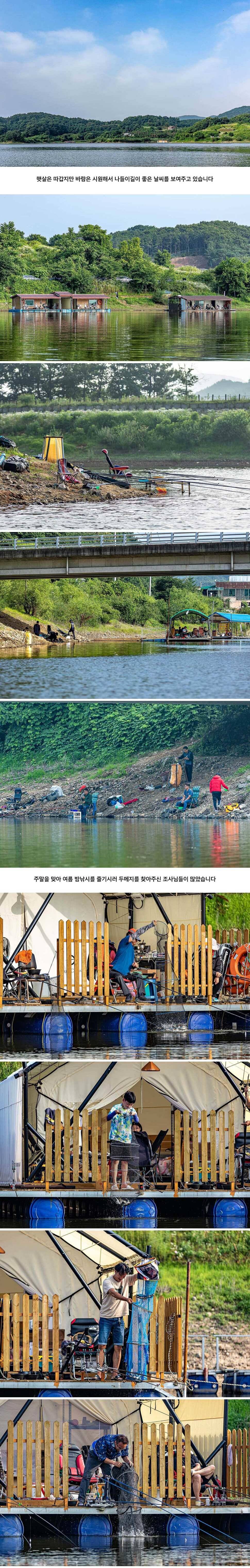 안성 두메낚시터 6월 28일 조황정보 (유료터정보 - 유료터점주조황)