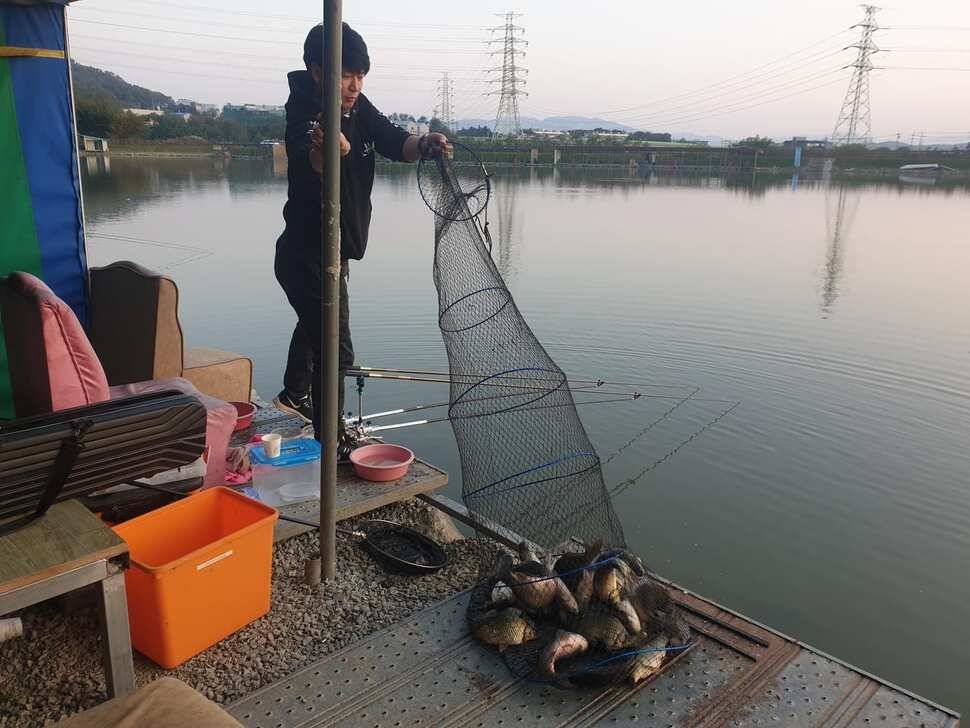 안성 거청낚시터 10 월 28일 붕어조황 (유료터정보 - 유료터점주조황)