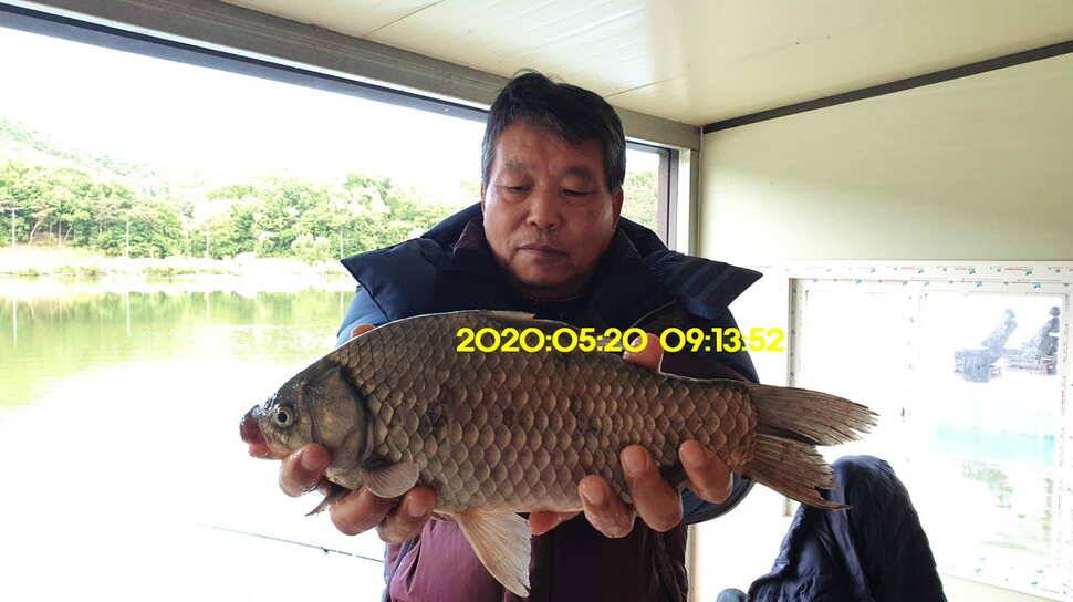 신원낚시터 6월5일 토종대물 덩어리 사진들 입니다 (유료터정보 - 유료터점주조황)