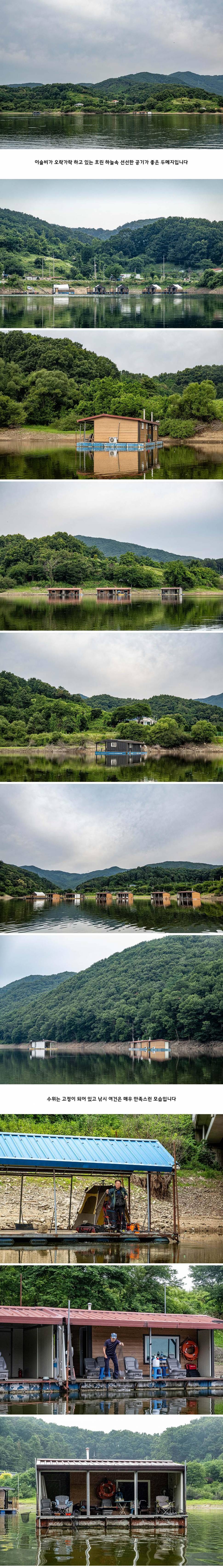 안성 두메낚시터 6월 26일 조황정보 (유료터정보 - 유료터점주조황)