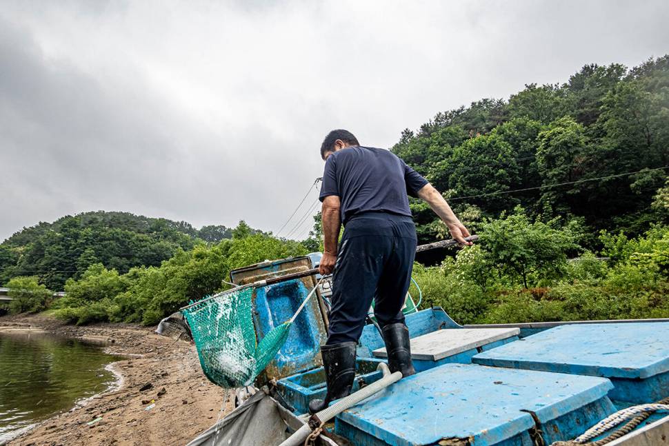 안성 두메낚시터 6월17일 조황안내 (유료터정보 - 유료터점주조황)